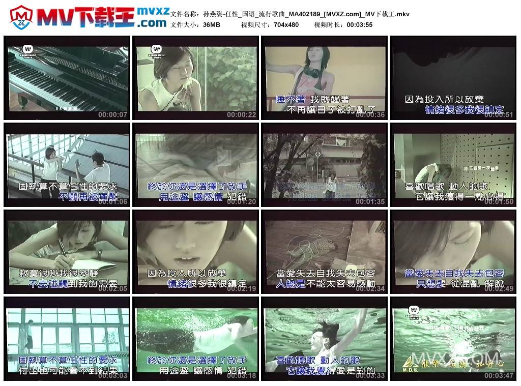 孙燕姿-任性_国语_流行歌曲_MA402189